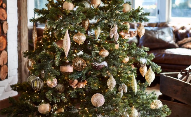 پرونده:درخت کریسمس.jpg