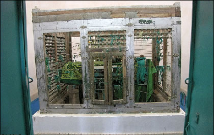 پرونده:مرمت آرامگاه یعقوب لیث با چوب صندوق میوه.jpg