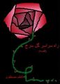 راه سراسر گل سرخ