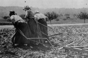 زنان کشاورز حین کار در مزارع شمال فرانسه- حوالی ۱۹۱۷ میلادی.JPG