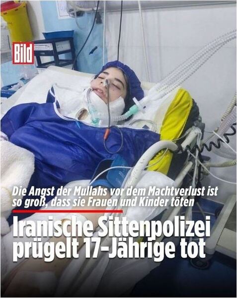 پرونده:آرنیکا قائم مقامی ۴.JPG