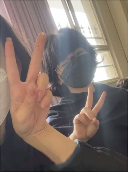 پرونده:آرنیکا قائم مقامی ۵.JPG