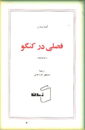 فصلی در کنگو3.JPG