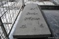 تصویر بندانگشتی از نسخهٔ مورخ ‏۹ آوریل ۲۰۱۸، ساعت ۲۲:۴۹
