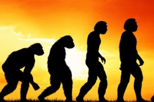 نظریه تکامل بیولوژیک