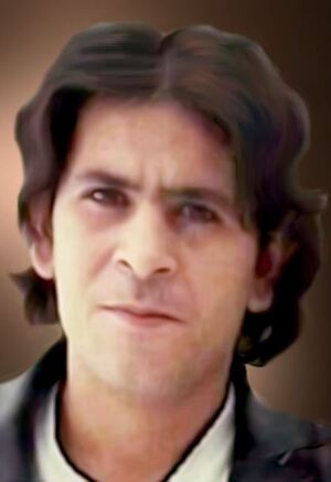 بهروز ملکی - مریوان.JPG