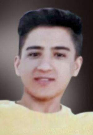 علی استوان - تهران.JPG