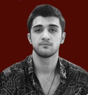 محمدمهدی کرمی.JPG