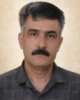 محمد گلی