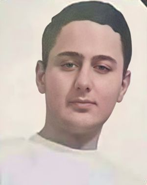 امیرصالح برجی،تهران.jpg