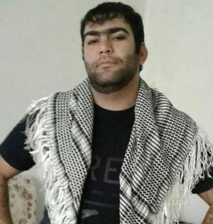 محمد صارمی بیرانوند.JPG