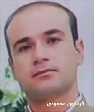 فریدون محمودی.JPG