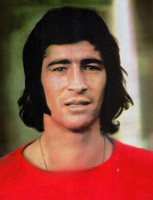 ناصر حجازی؛11 cleanup.JPG