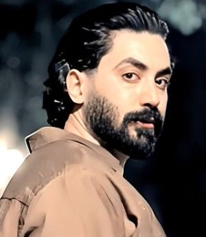 امیرحسین ملکشاهی،تهران.jpg