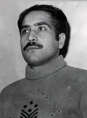 علی میهن‌دوست