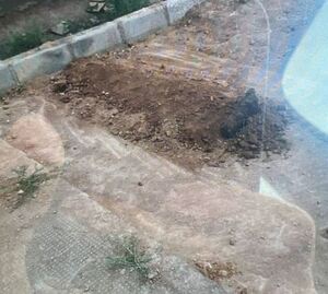 محل دفن مجید کاظمی.JPG