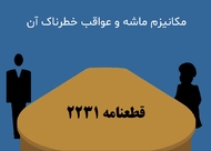 شورای امنیت سازمان ملل متحد؛ نهاد تصمیم‌گیرنده در اجرای مکانیسم ماشه