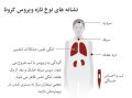 تصویر بندانگشتی از نسخهٔ مورخ ‏۲۱ فوریهٔ ۲۰۲۰، ساعت ۲۱:۳۵