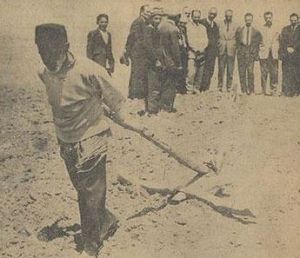 دهقان پیر.JPG