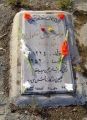 تصویر بندانگشتی از نسخهٔ مورخ ‏۱۵ ژانویهٔ ۲۰۲۱، ساعت ۱۲:۱۰