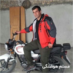 مسلم هوشنگی.JPG