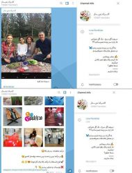 تبلیغ ایرانی در کانال تلگرامی و حمایت از رضا پهلوی