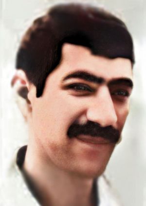 محمد تواناییان فرد.JPG