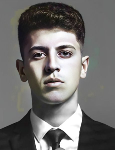 پرونده:آرنیکا دباغ1.jpg