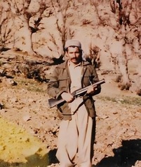 الله‌قلی خان جهانگیری