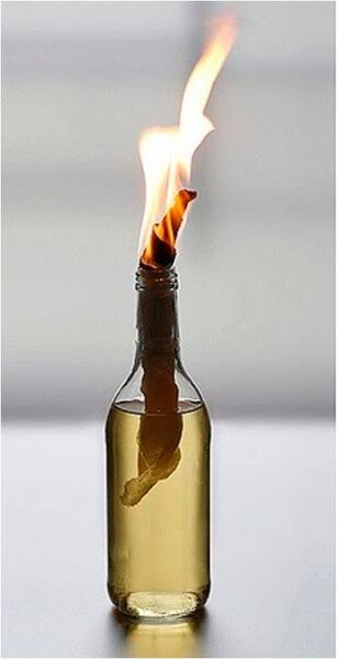 پرونده:کوکتل ۸.JPG