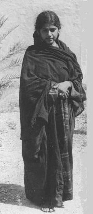 هسمر دادشاه1.JPG