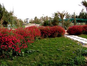 پارک بزرگ قرارگاه اشرف.JPG