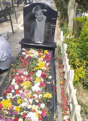 مزار حمیدرضا.JPG