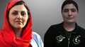 تصویر بندانگشتی از نسخهٔ مورخ ‏۲۸ فوریهٔ ۲۰۲۴، ساعت ۱۱:۲۹