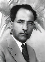 جوانی رضازاده شفق