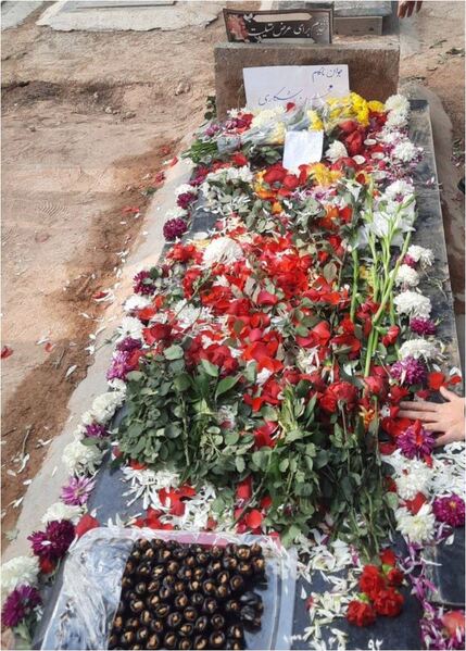 پرونده:مزار محسن شکاری.JPG