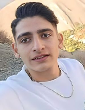 امیرمحمد لطفی،تهران.jpg