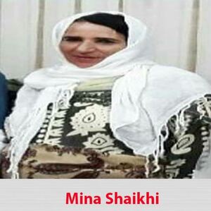 مینا شیخی تهران.JPG