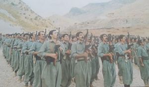 یکان‌ّای رزمی مجاهدین در منطقه کردستان ایران.jpg