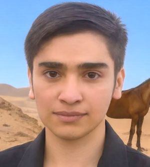 امیرعلی پرویزی1.jpg