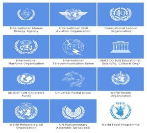 نهادهای مهم سازمان ملل متحد