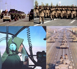 ارتش آزادی‌بخش ملی ایران در مانورهای مختلف