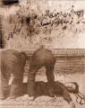 تصویر بندانگشتی از نسخهٔ مورخ ‏۲۴ ژوئیهٔ ۲۰۲۲، ساعت ۱۶:۴۶