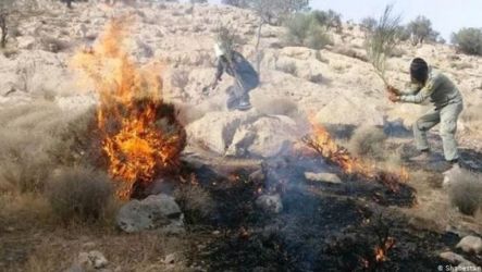 مهار آتش در ارتفاعات خائیز با دستان خالی توسط نیروهای محلی