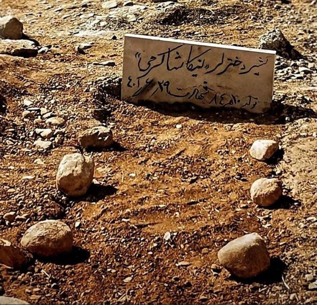 پرونده:مزار نیکا ویسیان.JPG