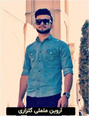 آروین ململی گلزاری.JPG