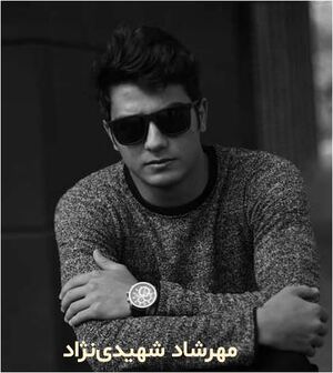مهرشاد شهیدی نژاد.JPG