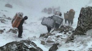 کولبران در زمستان.jpeg